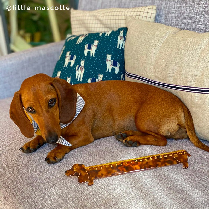 法國Coucou Suzette 20公分臘腸狗直尺 20 cm Dachshund Dog Ruler
