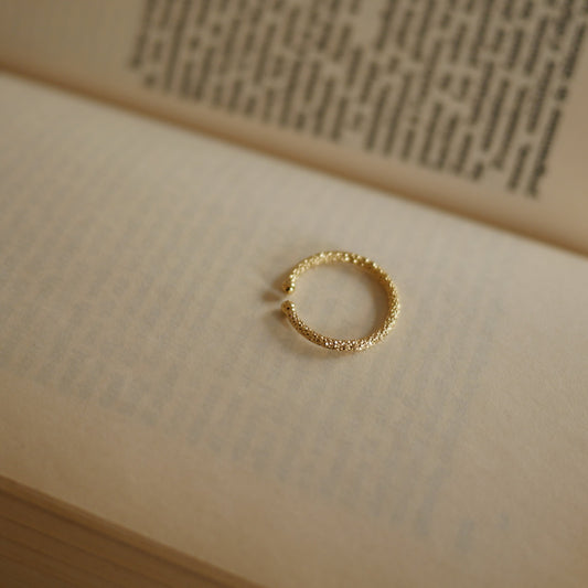 Noé閃耀紋理戒指