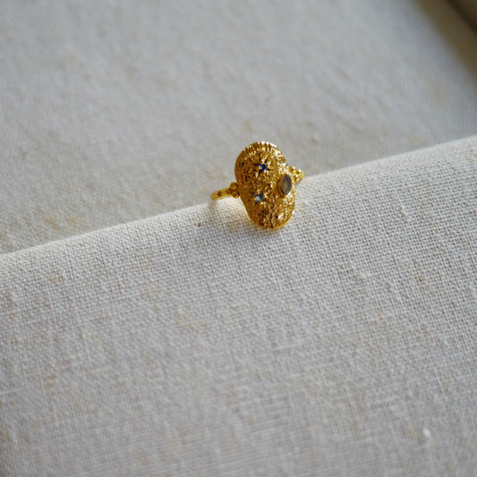 Hydrus Star and Moon Design Ring